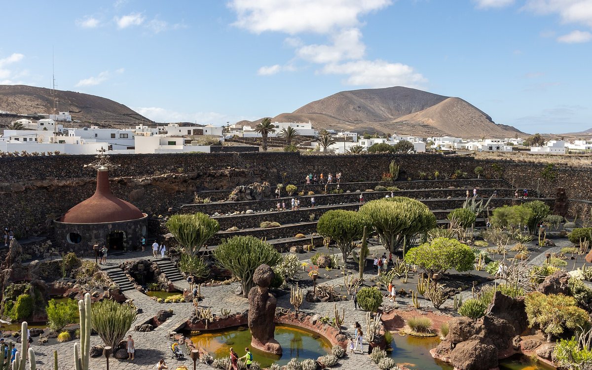Jardín de Cactus